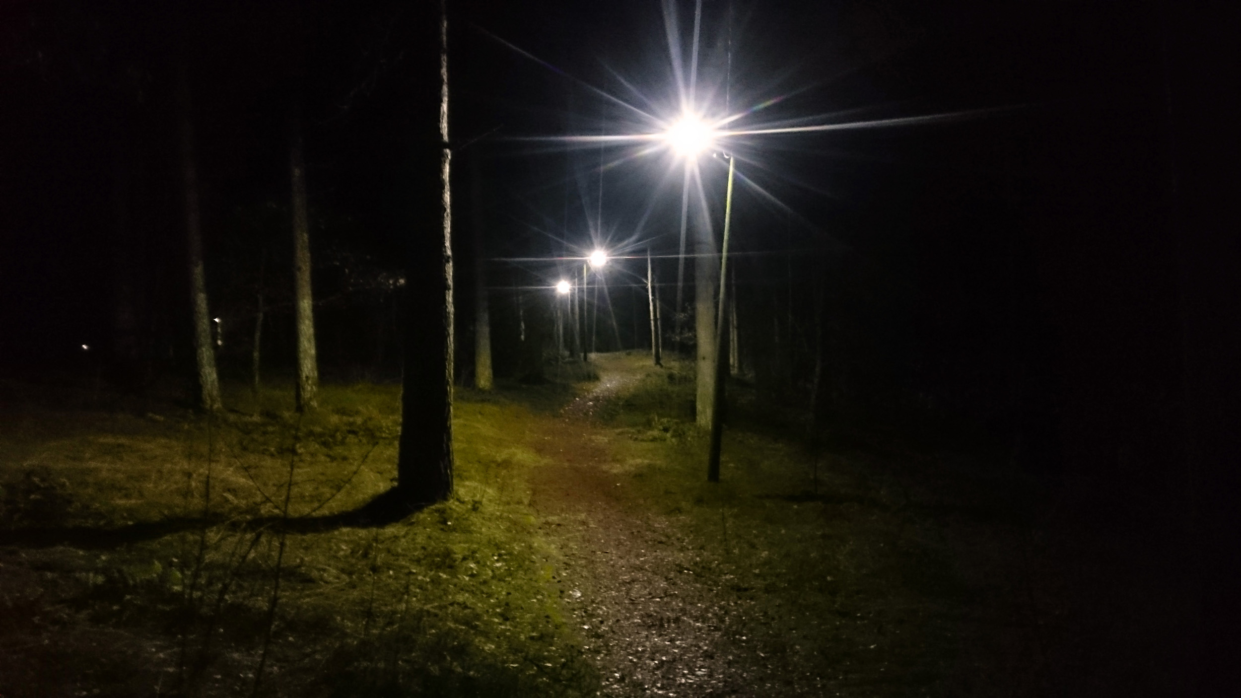 Elljusspåret i Källaskogen Brösarp är 1,75 km långt.